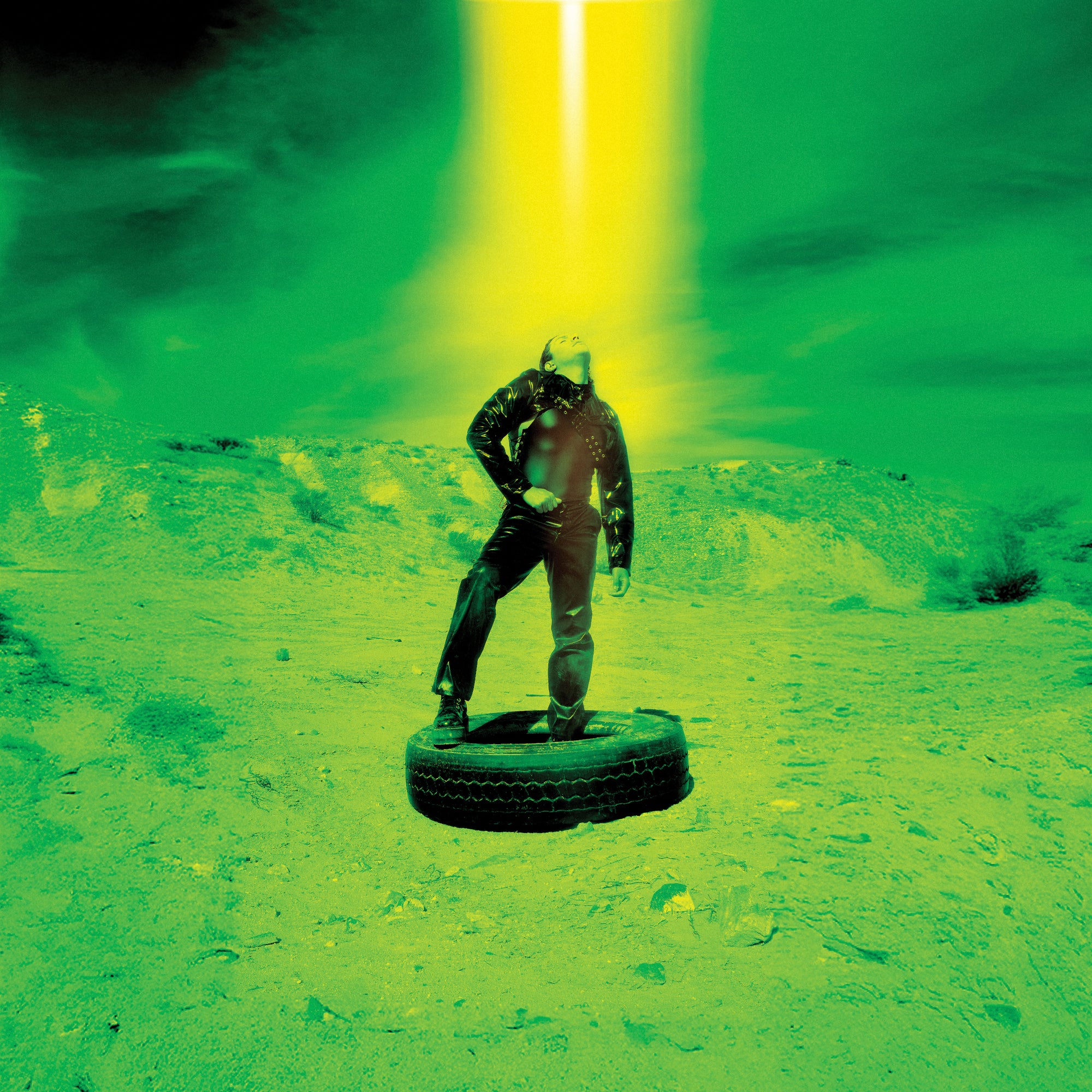 Wasteland (CD)
